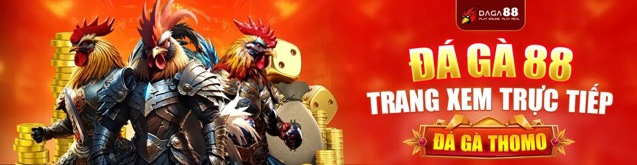 Sân đấu đá gà trực tuyến kịch tính tại rongho99 app